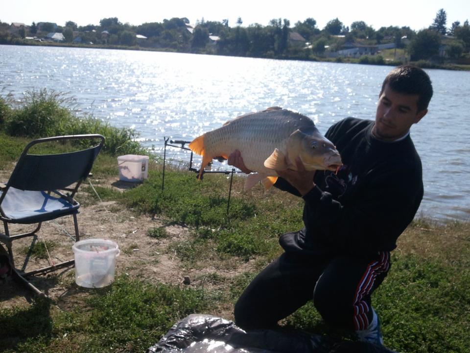 2012 - 580005_460578477296501_118151677_n.jpg